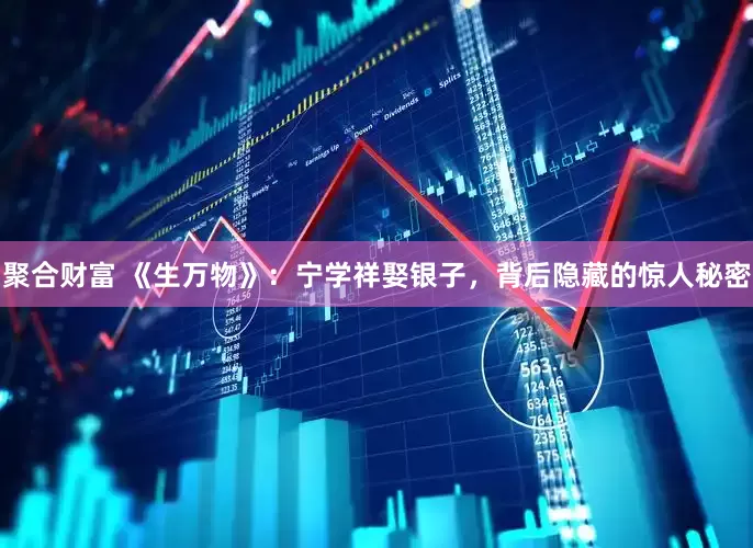 聚合财富 《生万物》：宁学祥娶银子，背后隐藏的惊人秘密