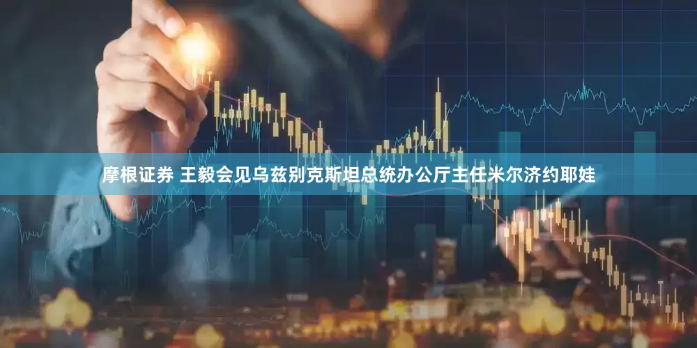 摩根证券 王毅会见乌兹别克斯坦总统办公厅主任米尔济约耶娃